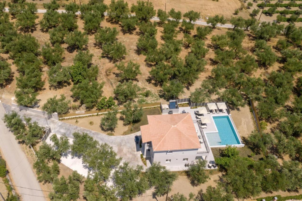 Villa Olivea Kalpaki  Zewnętrze zdjęcie